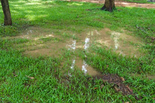 Cost of Storm Water Drainage Service in Iowa City